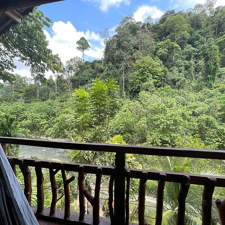 Kupu Kupu Garden Guest House & Cafe Bukit Lawang Exterior photo