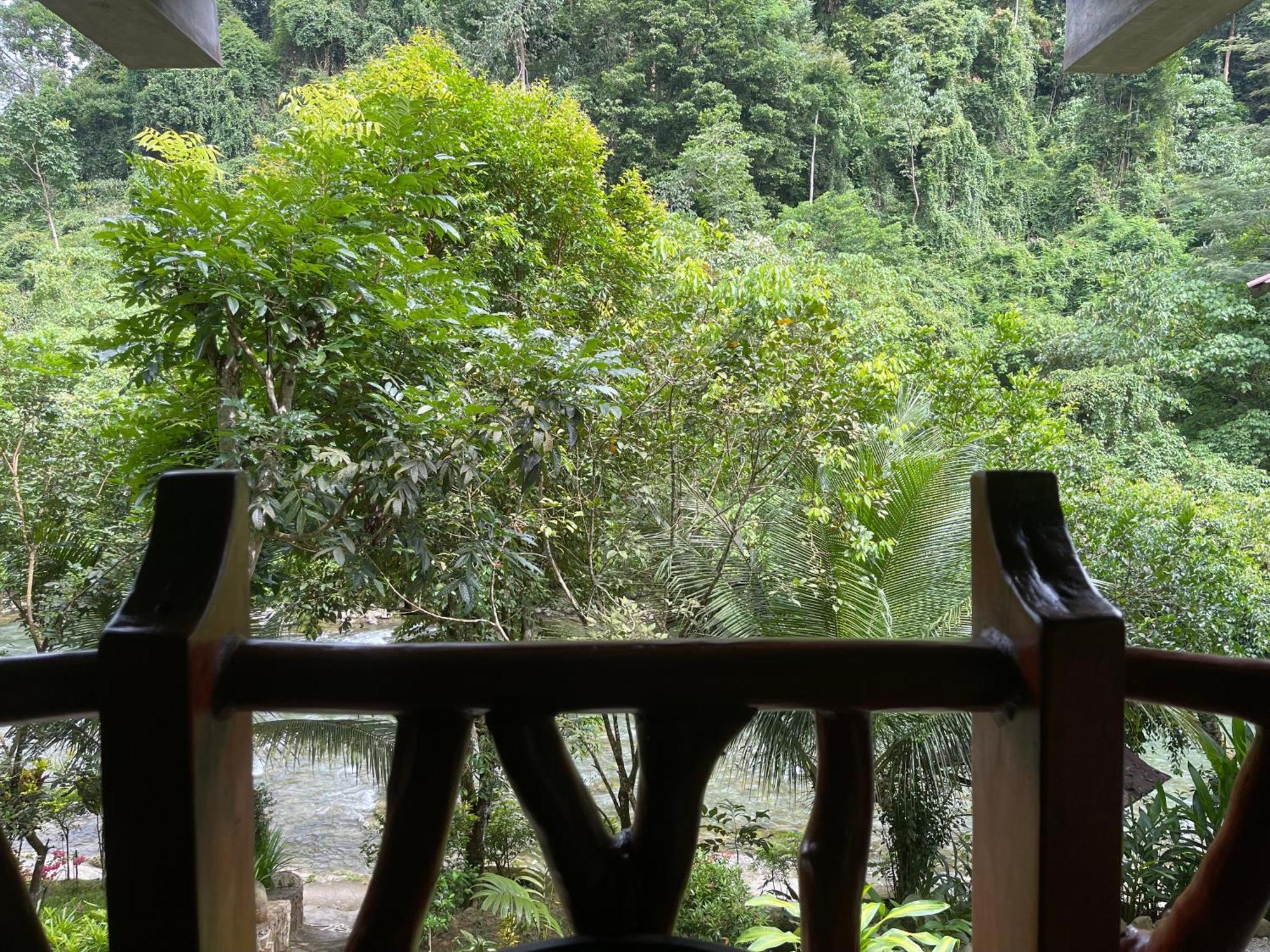 Kupu Kupu Garden Guest House & Cafe Bukit Lawang Exterior photo